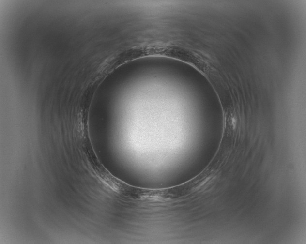 X0000063441252200601231316