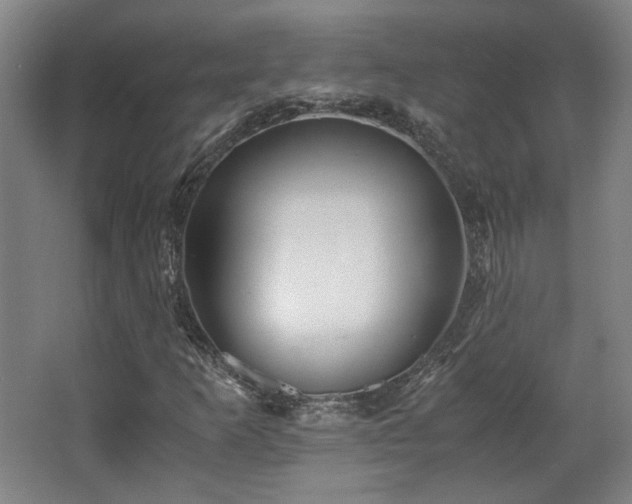 X0000063441253200601231316