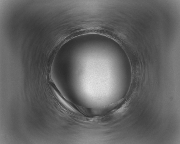X0000063441257200601231316