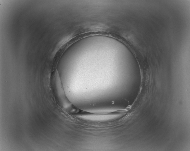 X0000063441261200601231316