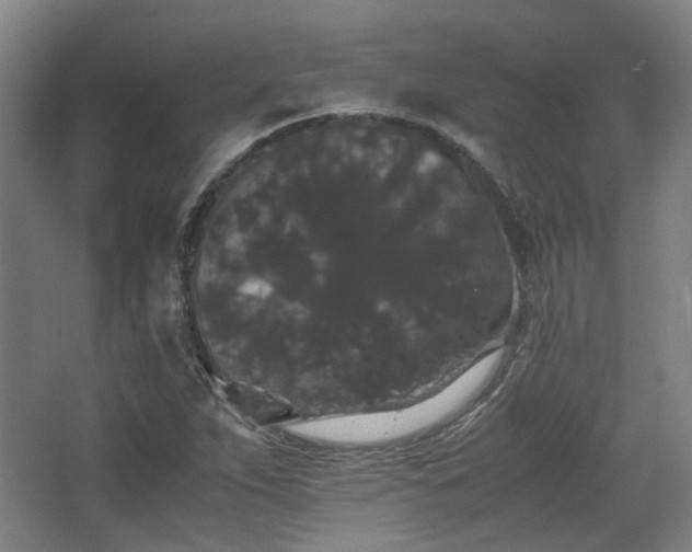 X0000063441263200601231316