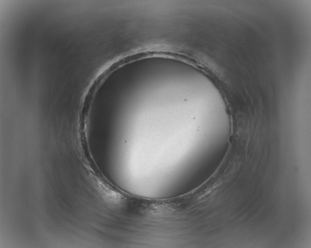 X0000063441264200601231316