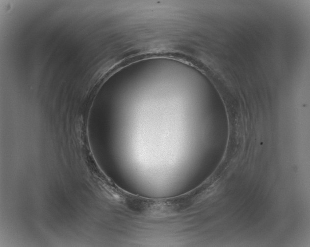 X0000063441265200601231316