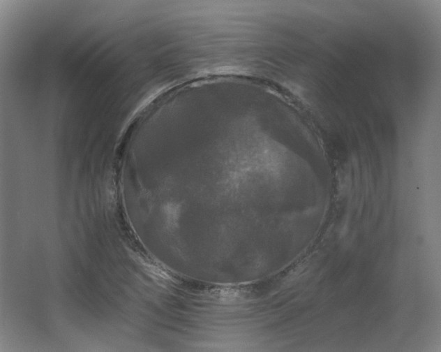 X0000063441266200601231316