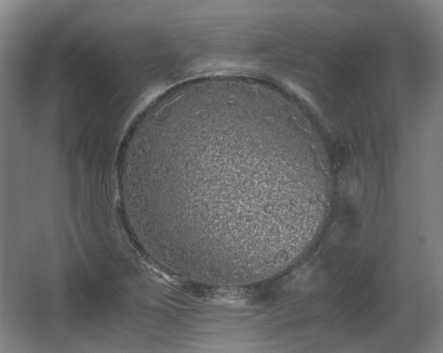 X0000063441267200601231316