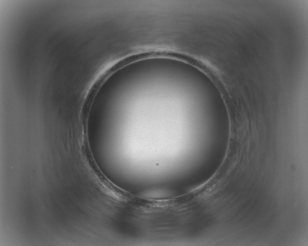 X0000063441271200601231316
