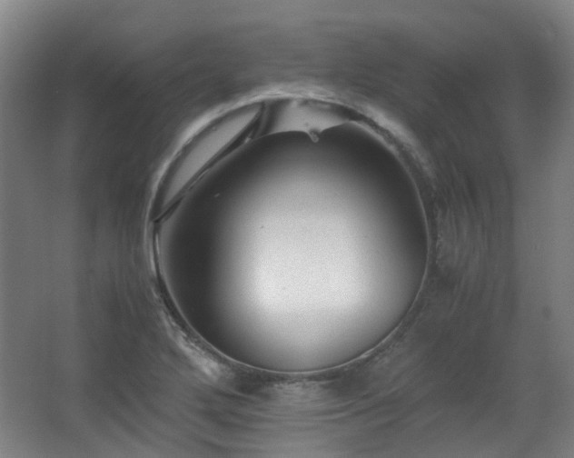 X0000063441272200601231316