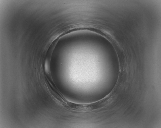 X0000063441273200601231316