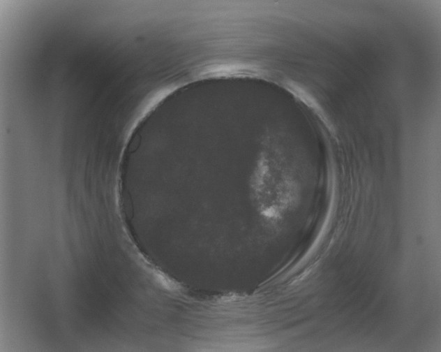 X0000063441277200601231316