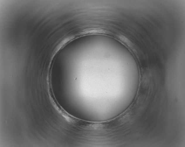 X0000063441282200601231316