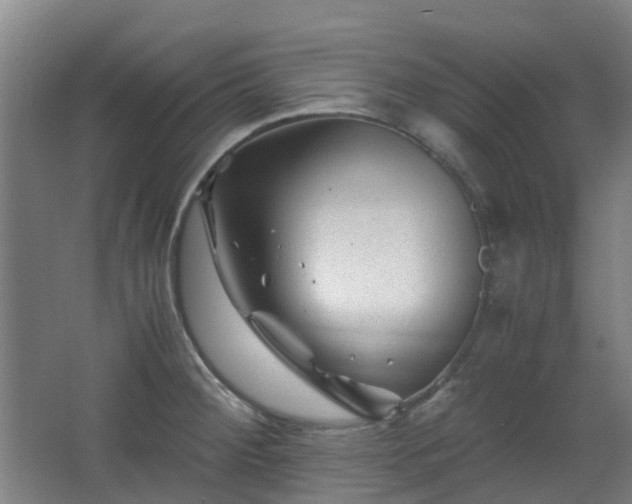 X0000063441284200601231316