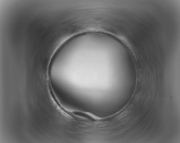 X0000063441287200601231316