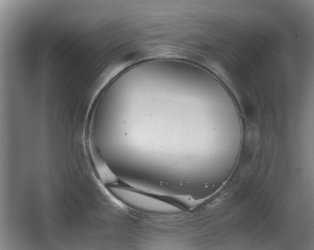 X0000063441293200601231316