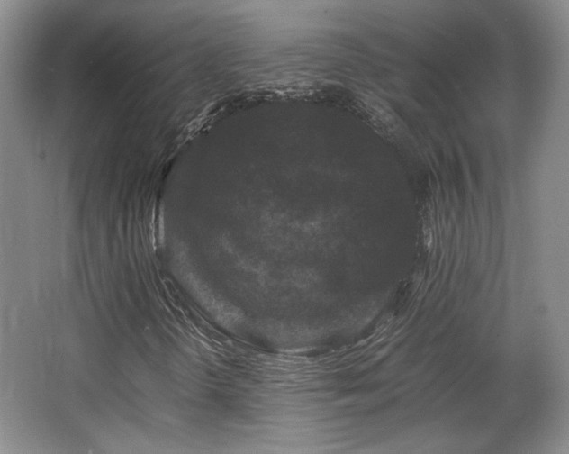 X0000063441298200601231315