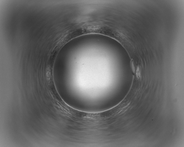 X0000063441299200601231315