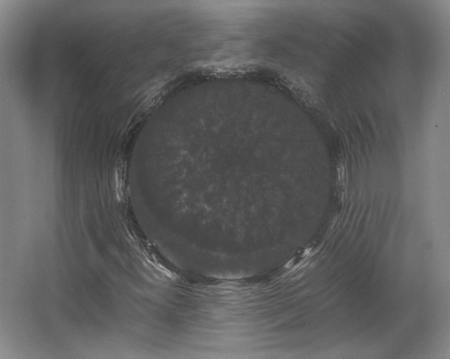 X0000063441300200601231315