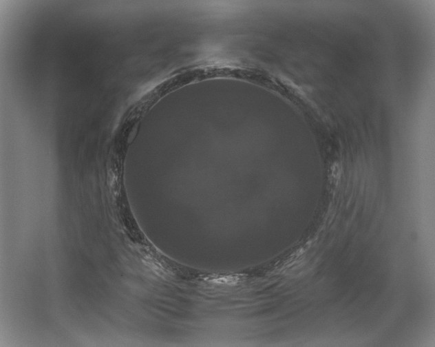 X0000063441303200601231315