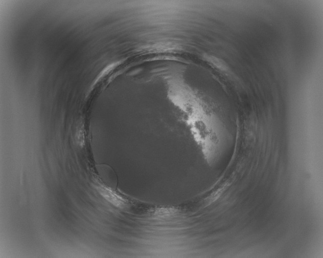 X0000063441306200601231315