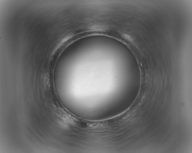 X0000063441307200601231315