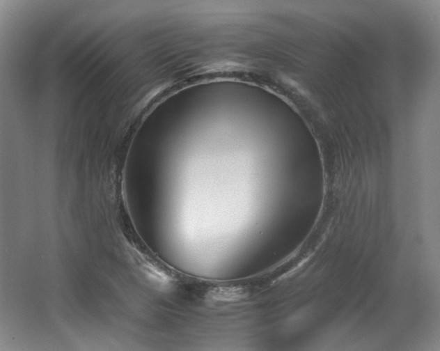 X0000063441313200601231315