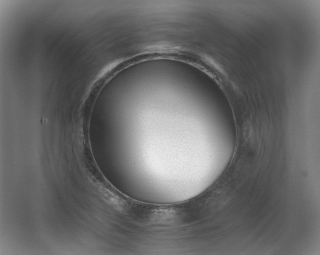 X0000063441315200601231315