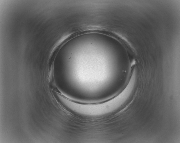 X0000063441317200601231315