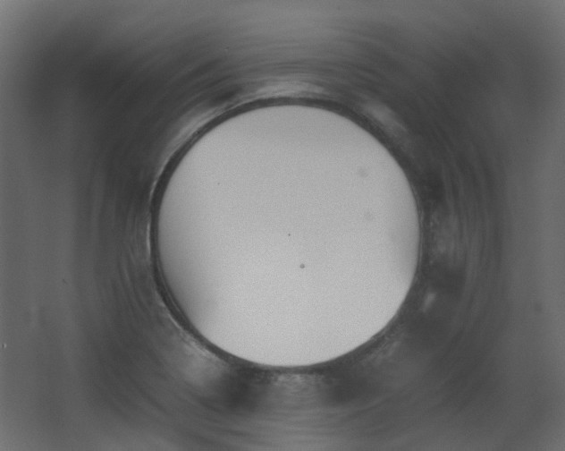 X0000063441322200601231315