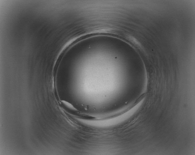 X0000063441324200601231315