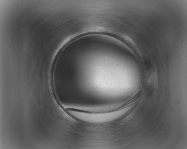 X0000063441326200601231315