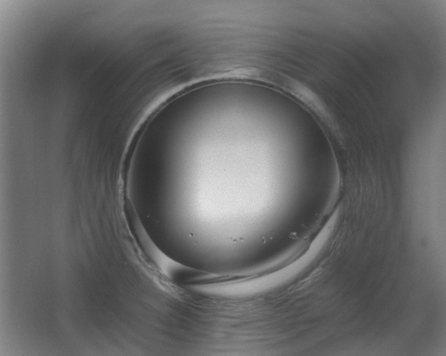 X0000063441332200601231316