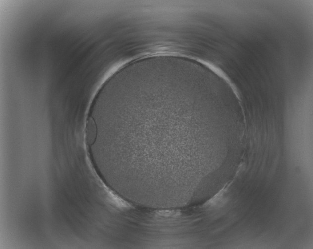 X0000063441333200601231316
