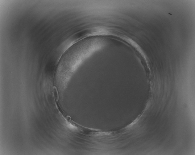 X0000063441337200601231316