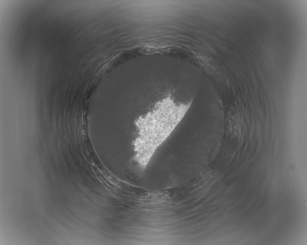 X0000063441346200601231315