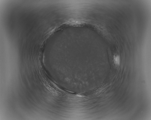 X0000063441348200601231315