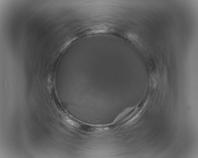 X0000063441353200601231315