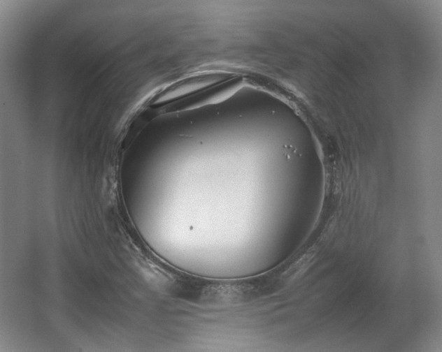 X0000063441355200601231315