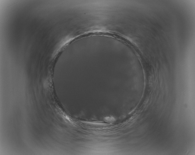 X0000063441359200601231315