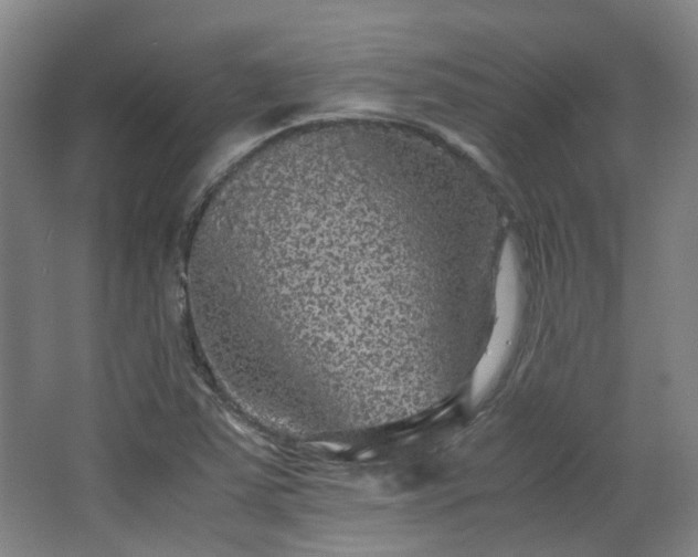 X0000063441363200601231315