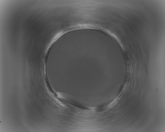 X0000063441365200601231315
