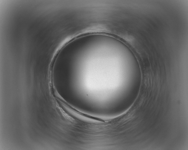 X0000063441366200601231315