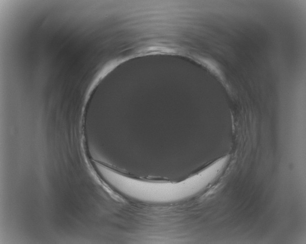 X0000063441373200601231314
