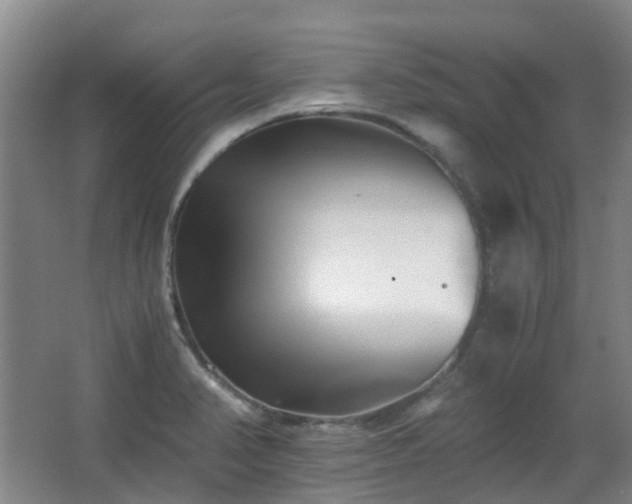 X0000063441374200601231314