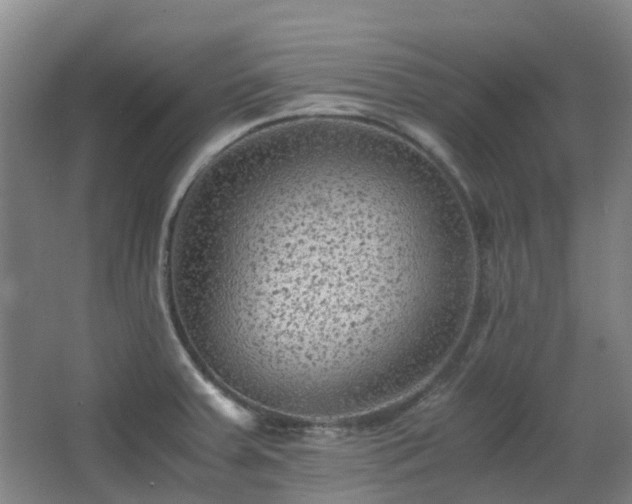 X0000063441379200601231314
