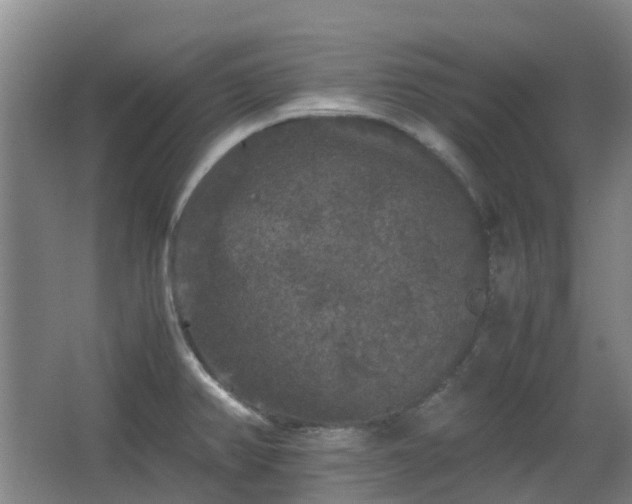 X0000063441382200601231314