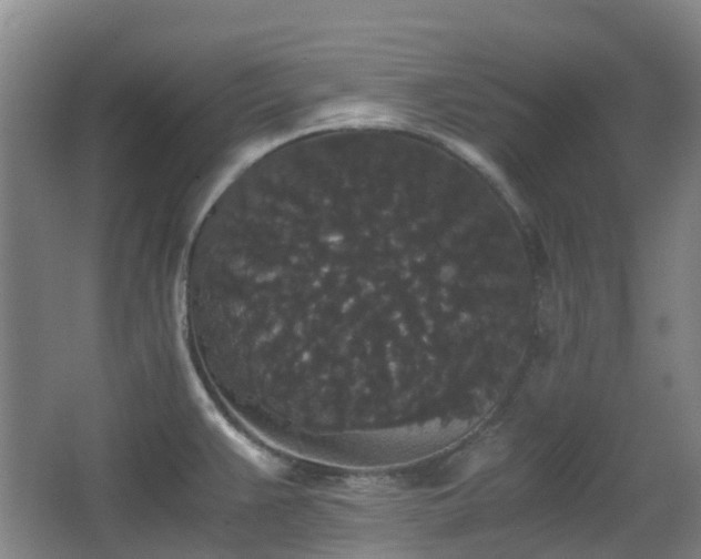 X0000063441383200601231314
