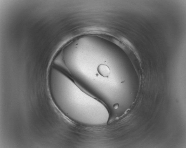 X0000063441384200601231314