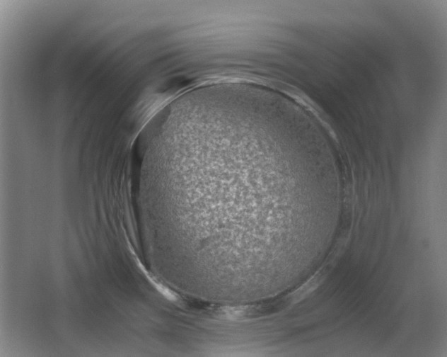 X0000063441385200601231314