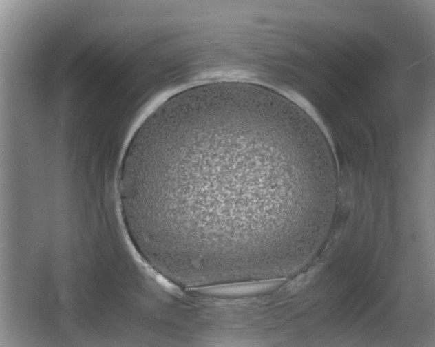 X0000063441389200601231314