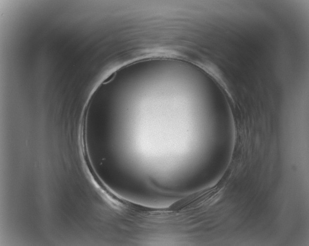 X0000063441391200601231314