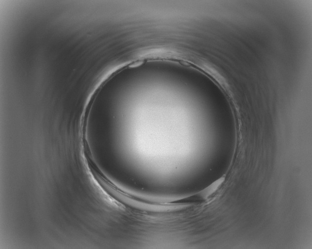 X0000063441392200601231314